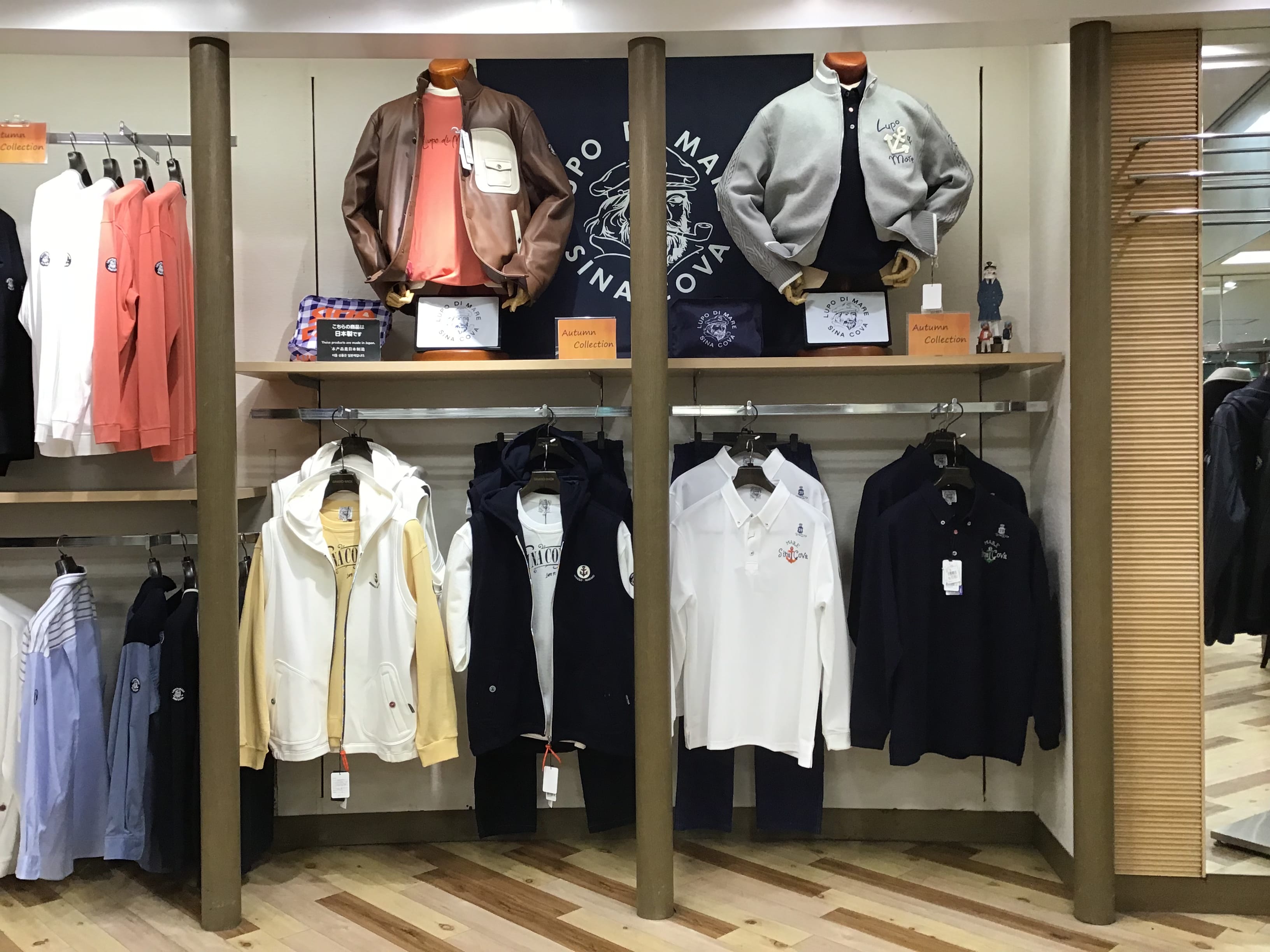 秋の新作入荷