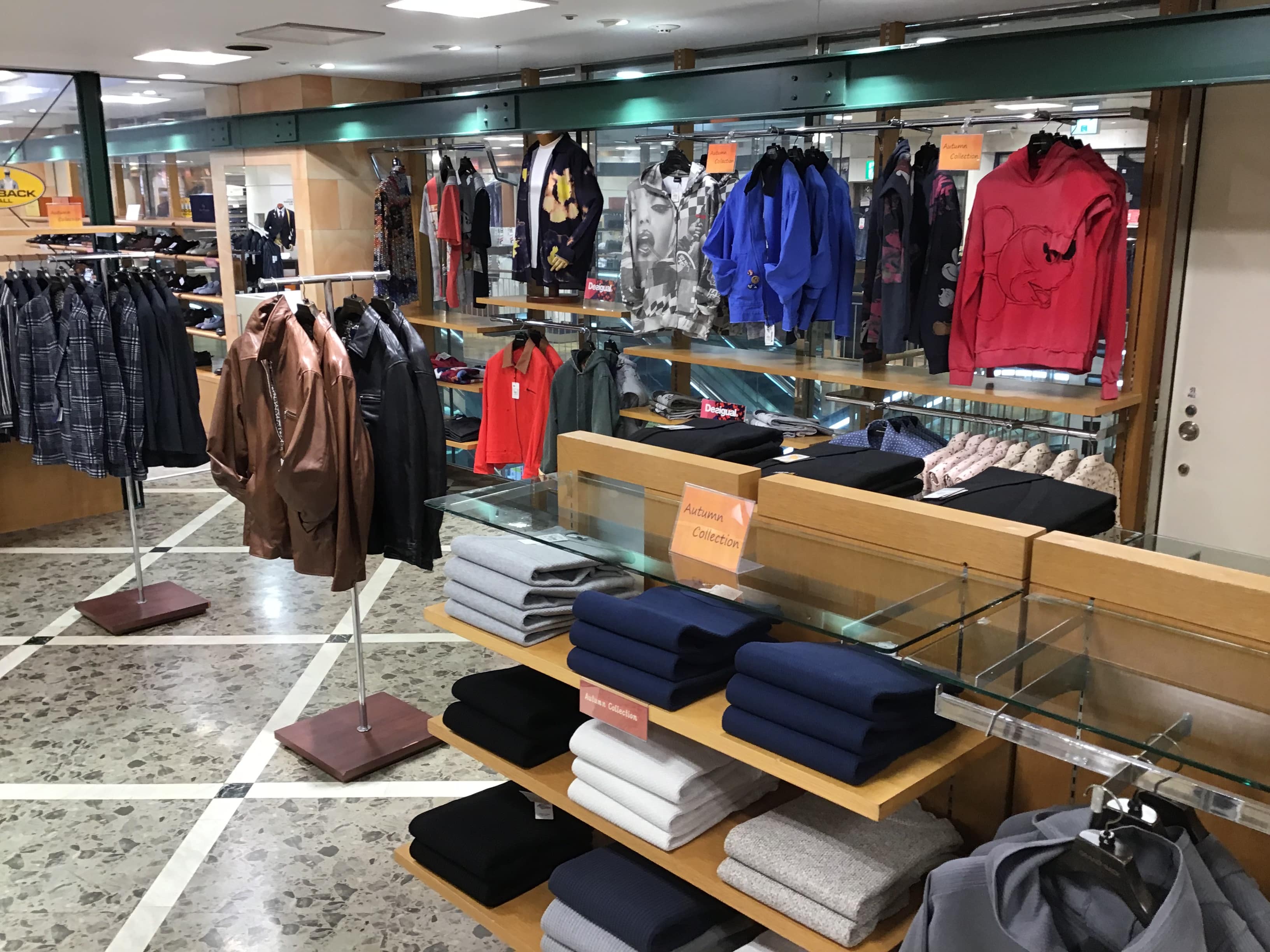秋の新作入荷