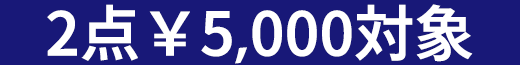 2点5000円(税込)