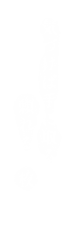気づけば手に取る、頼れる一枚
